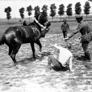 Canadian sports behind the lines wrestling on horseback