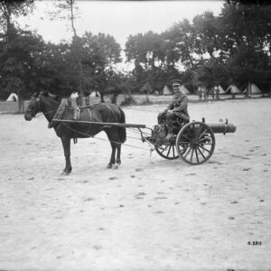 Trench mortar drawn by pony behind the lines