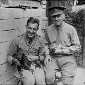 Pets (puppies) of Canadian artillery officers born under shell fire