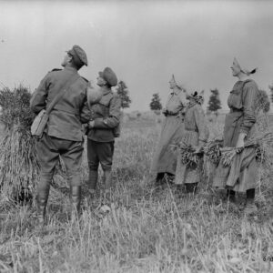 Canadian and French gleaners interested in an aeroplane