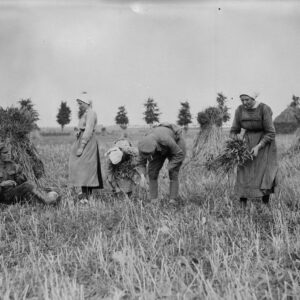 Canadian troops talking to French gleaners